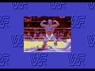 WWF Rage in the Cage screenshot 3 for Sega CD